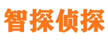 连城侦探公司